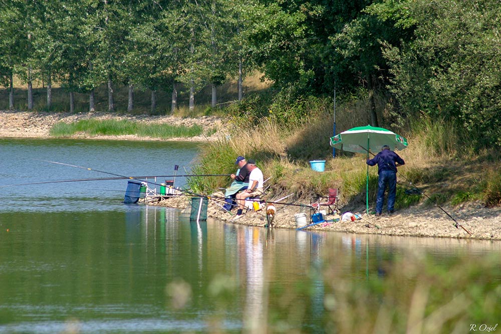 pêche sur le lac d'Apremont